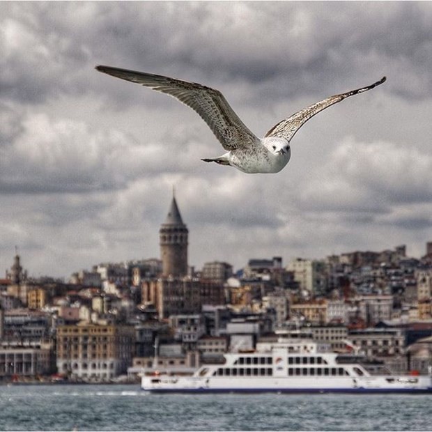 İşte en güzel İstanbul fotoğrafları 11