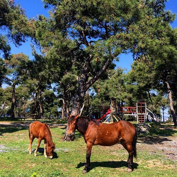 İşte en güzel İstanbul fotoğrafları 17