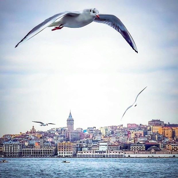 İşte en güzel İstanbul fotoğrafları 19