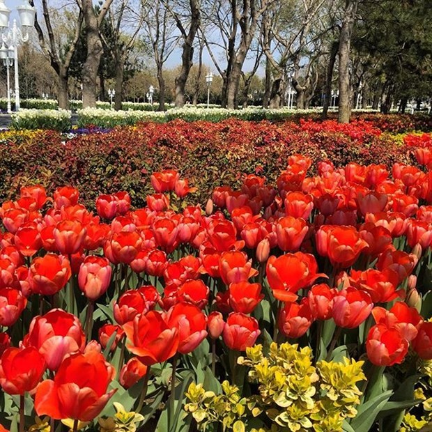 İşte en güzel İstanbul fotoğrafları 20