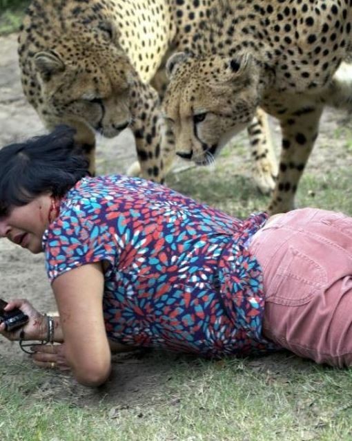 Eşi çitalar tarafından parçalanırken fotoğraflarını çekti 12