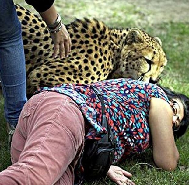 Eşi çitalar tarafından parçalanırken fotoğraflarını çekti 14