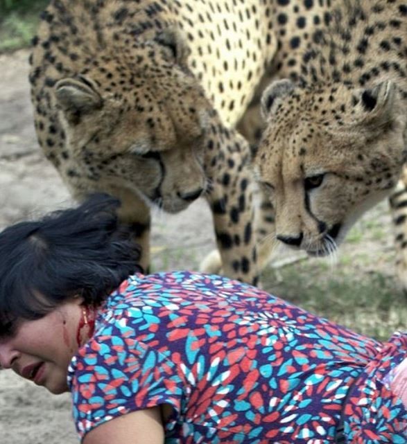 Eşi çitalar tarafından parçalanırken fotoğraflarını çekti 17