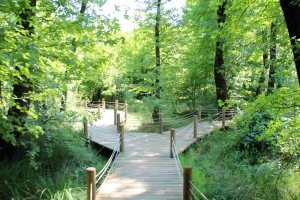 Anadolu'da görülmesi gereken Milli Parklar 2