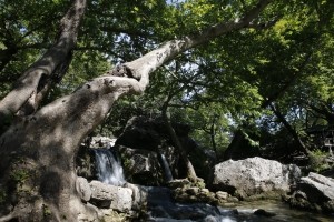 Anadolu'da görülmesi gereken Milli Parklar 4