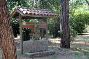 Anadolu'da görülmesi gereken Milli Parklar 11