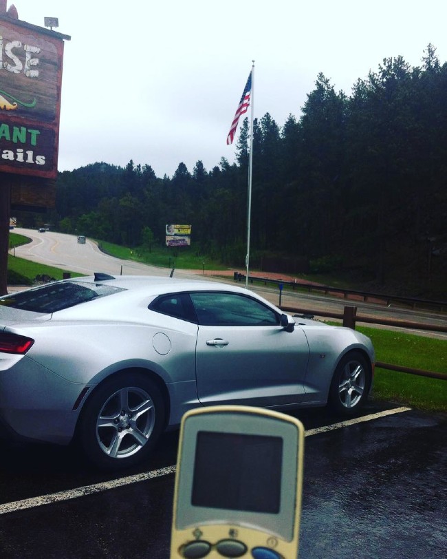 Yasak dinlemediler, ülke ülke dolaştırdılar 13