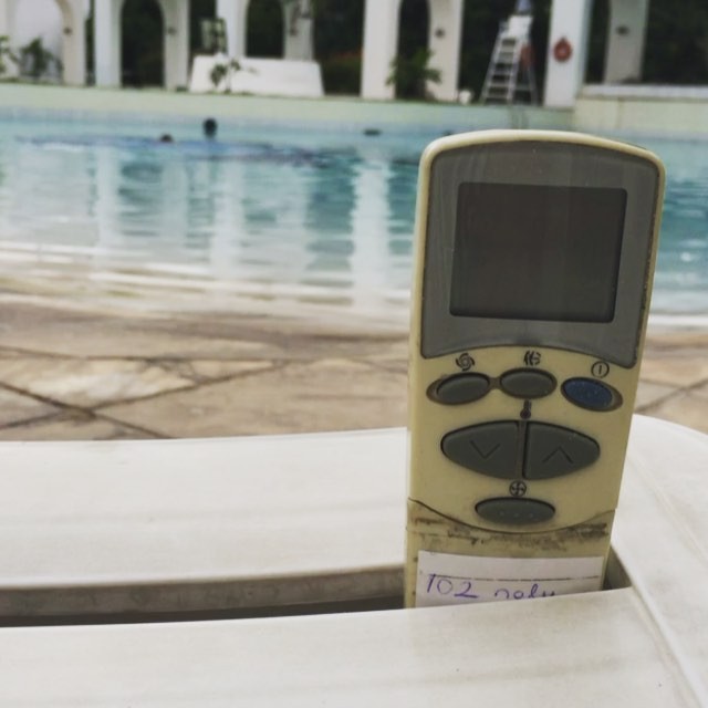 Yasak dinlemediler, ülke ülke dolaştırdılar 8