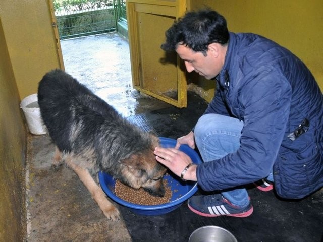 Büyük değişim 10