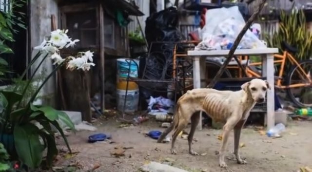 Büyük değişim 13