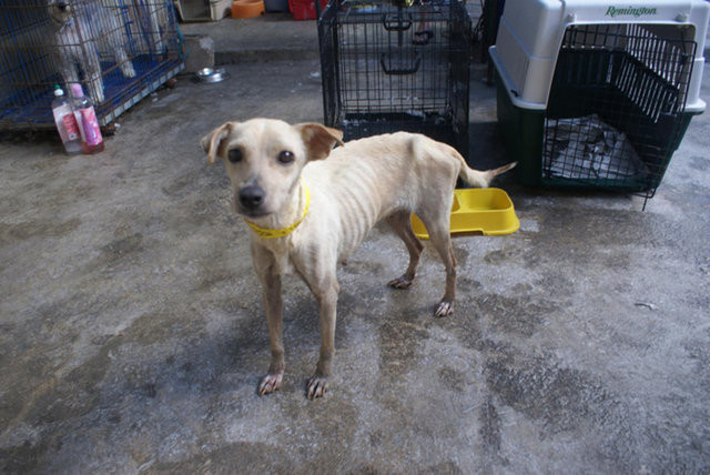 Büyük değişim 14