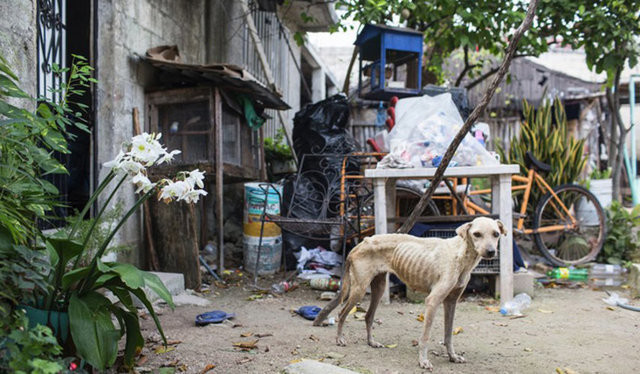 Büyük değişim 15
