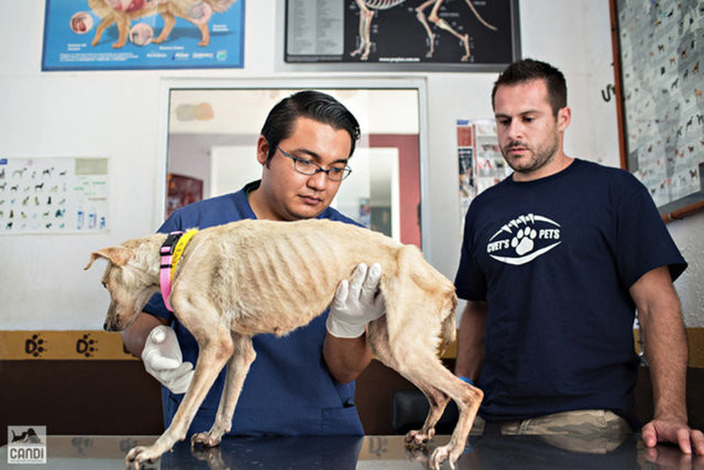 Büyük değişim 16