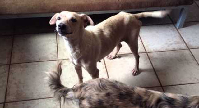 Büyük değişim 17