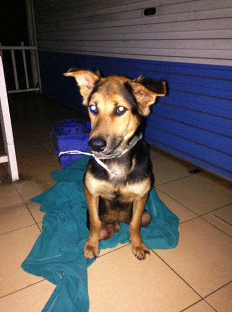 Büyük değişim 26