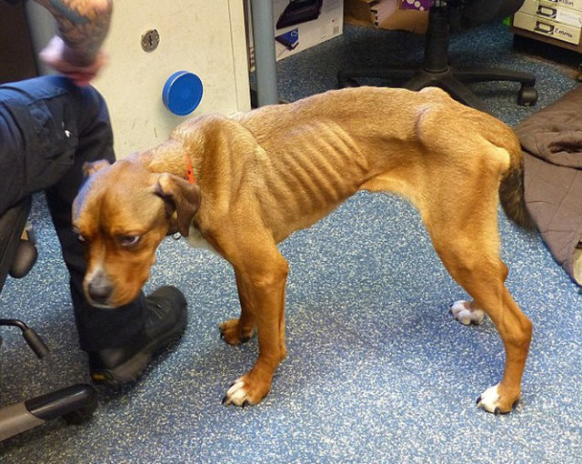 Büyük değişim 32