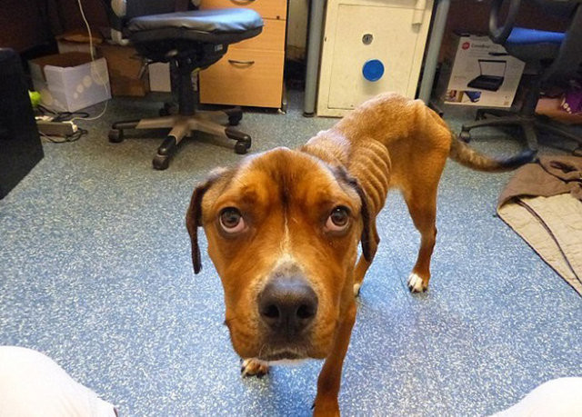 Büyük değişim 33