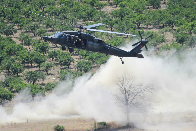 TSK'dan gövde gösterisi 17