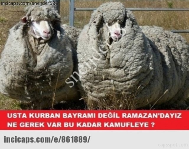 İşte Ramazan caps'leri 22