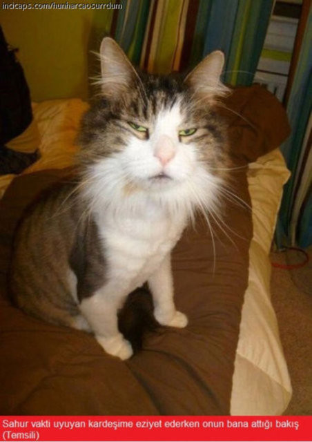 İşte Ramazan caps'leri 23