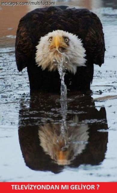 İşte Ramazan caps'leri 25