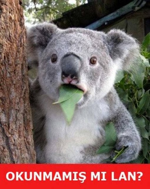 İşte Ramazan caps'leri 4