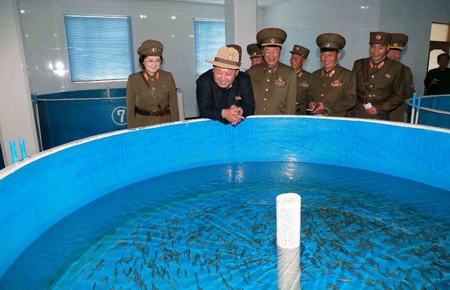 Kuzey Kore gerçekleri 12