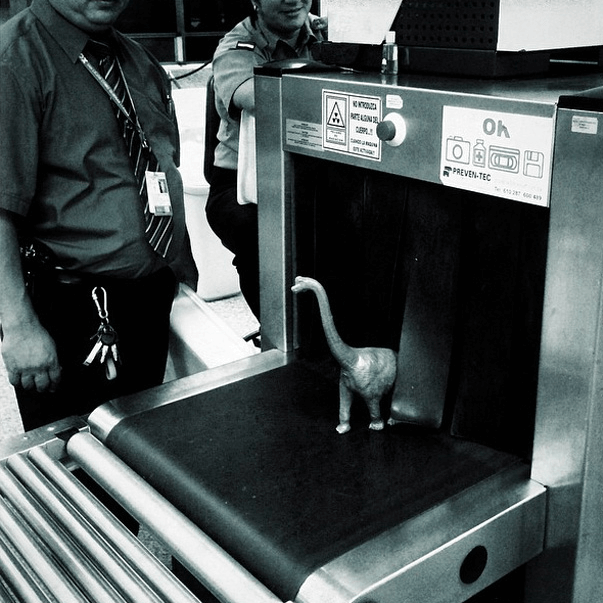 Dinazorlar dünya turunda 14