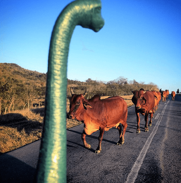 Dinazorlar dünya turunda 16