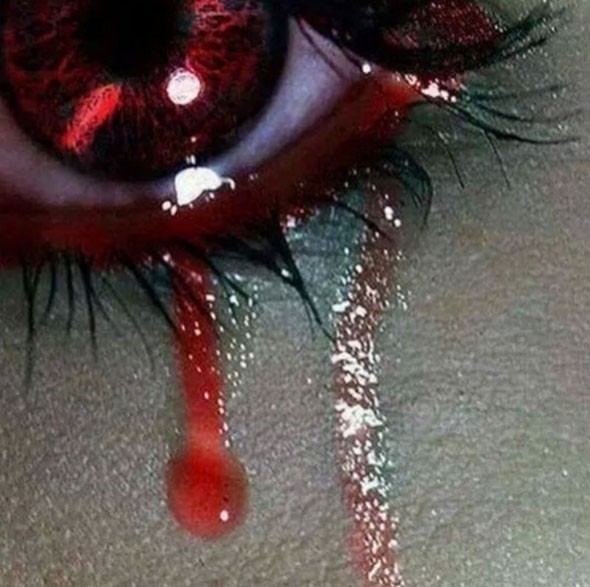 Ünlülerden Vezneciler paylaşımı 2