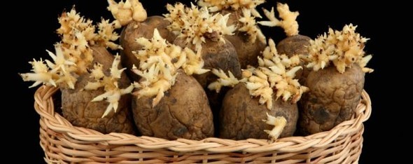 Çöp diyerek attığınız şeyler aslında çok işinize yarayabilir 5