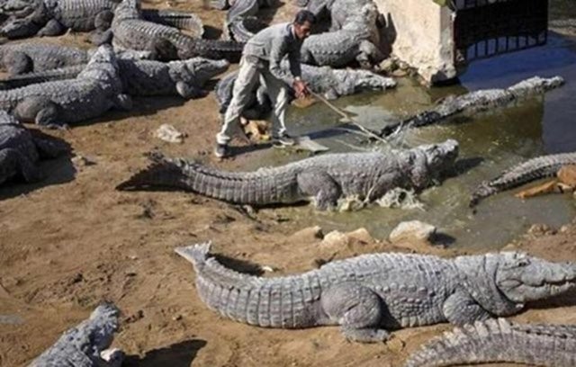 Erkekler neden uzun yaşayamaz? 1