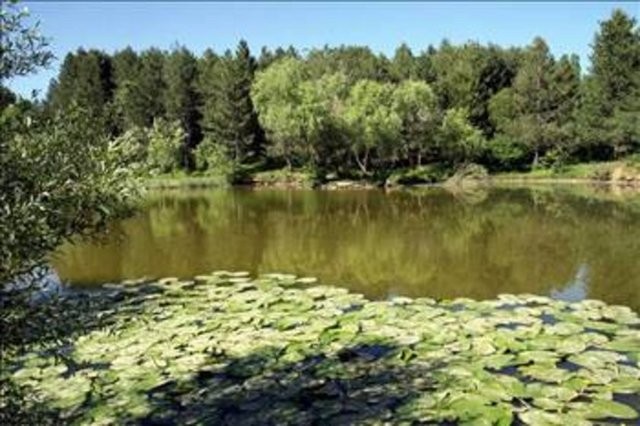 Şehirler isimlerini nereden alıyor? 22