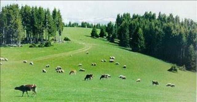 Şehirler isimlerini nereden alıyor? 37