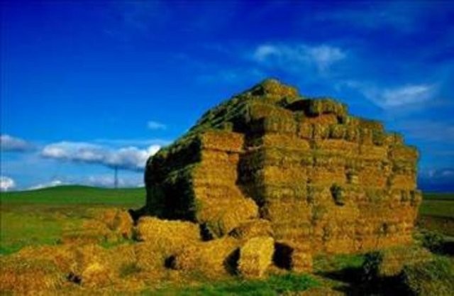 Şehirler isimlerini nereden alıyor? 76