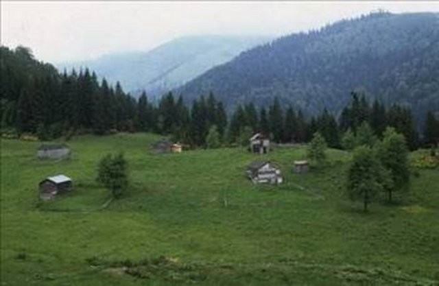 Şehirler isimlerini nereden alıyor? 78