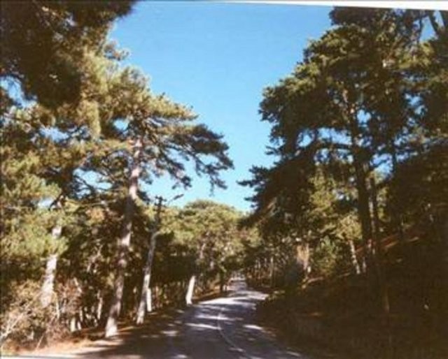 Şehirler isimlerini nereden alıyor? 83