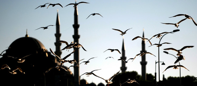 Süleymaniye Camii dedikoduları 16