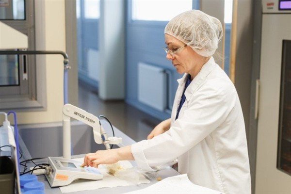 İşte üretim aşamaları 13