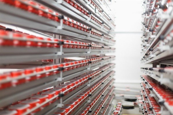 İşte üretim aşamaları 15