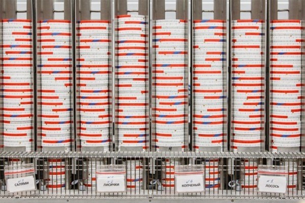 İşte üretim aşamaları 16