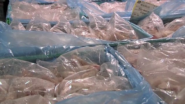 İşte üretim aşamaları 24