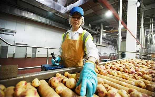 İşte üretim aşamaları 31