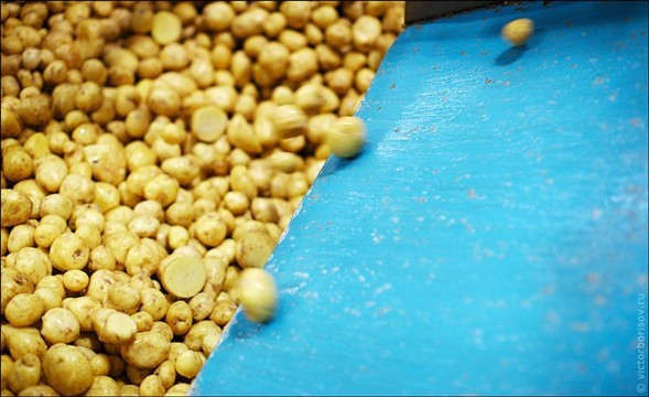 İşte üretim aşamaları 32