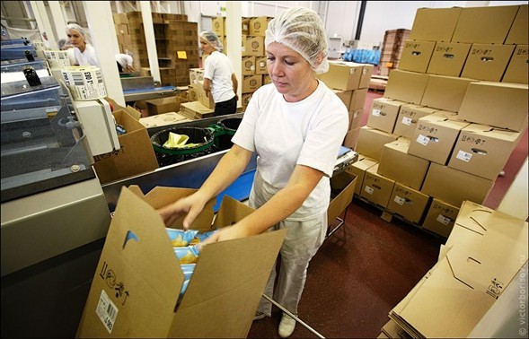 İşte üretim aşamaları 47