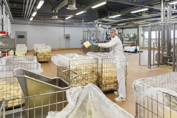 İşte üretim aşamaları 5