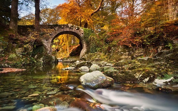 Game of Thrones'un sezon finalinde neler yaşanacak? 19