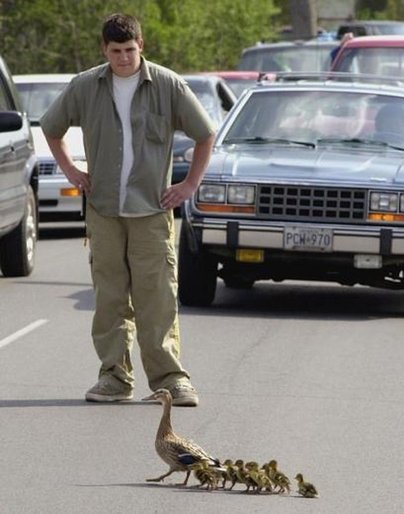 Trafikte şaşırtan görüntüler 9