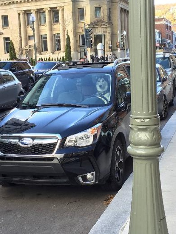 Trafikte şaşırtan görüntüler 8