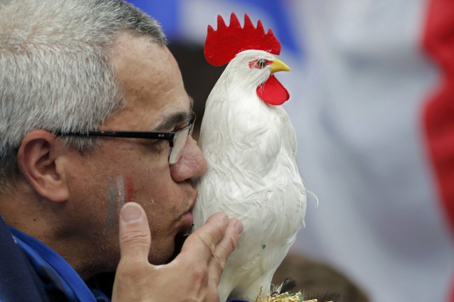 EURO 2016'nın açılışı muhteşem oldu 9